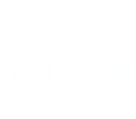 Ins-Verdaguer-logo-white