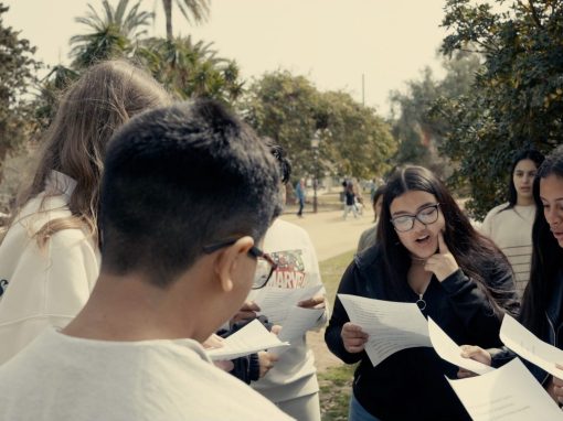 Projecte Activacció